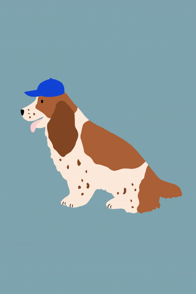 Cocker Spaniel with Cap
