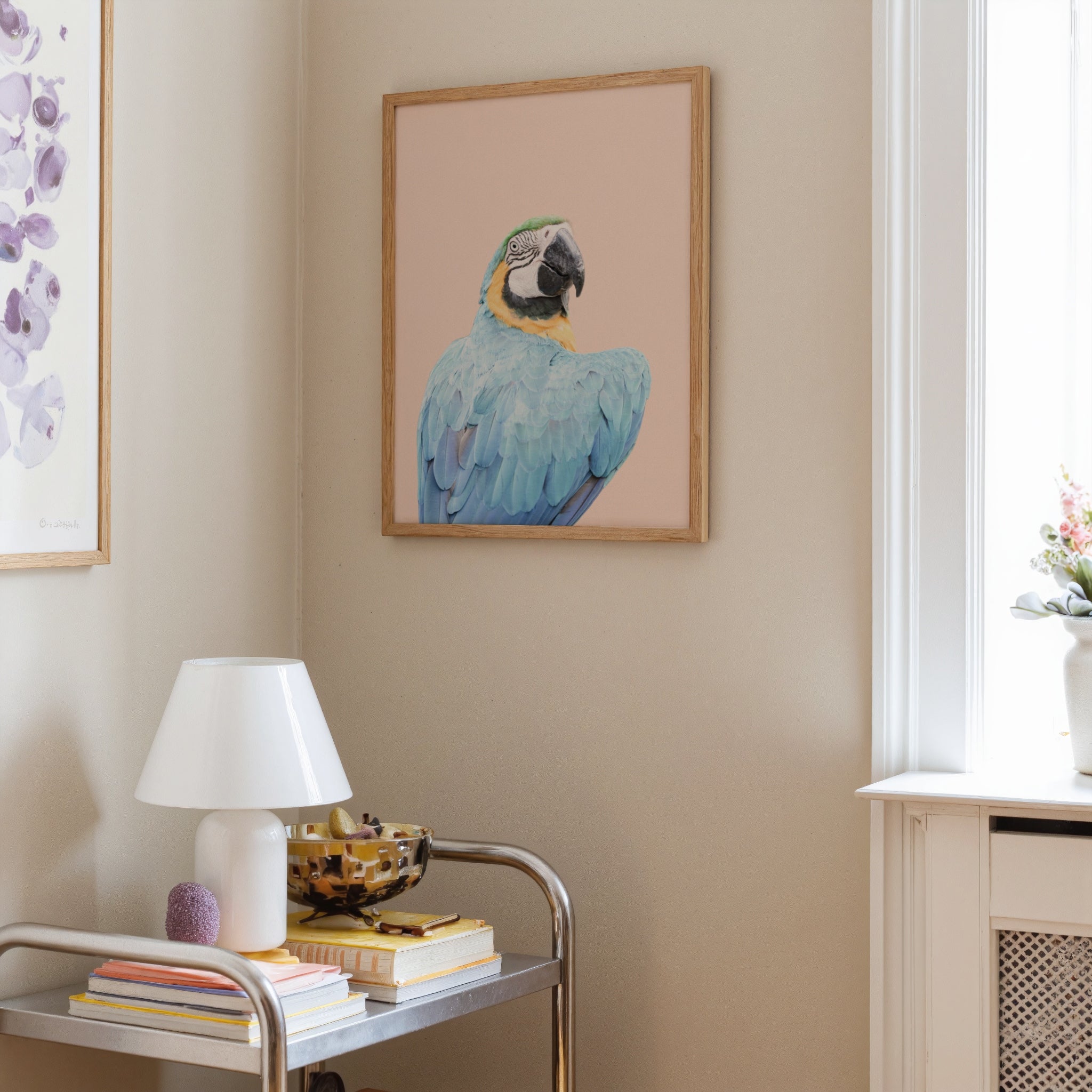 Blue Macaw