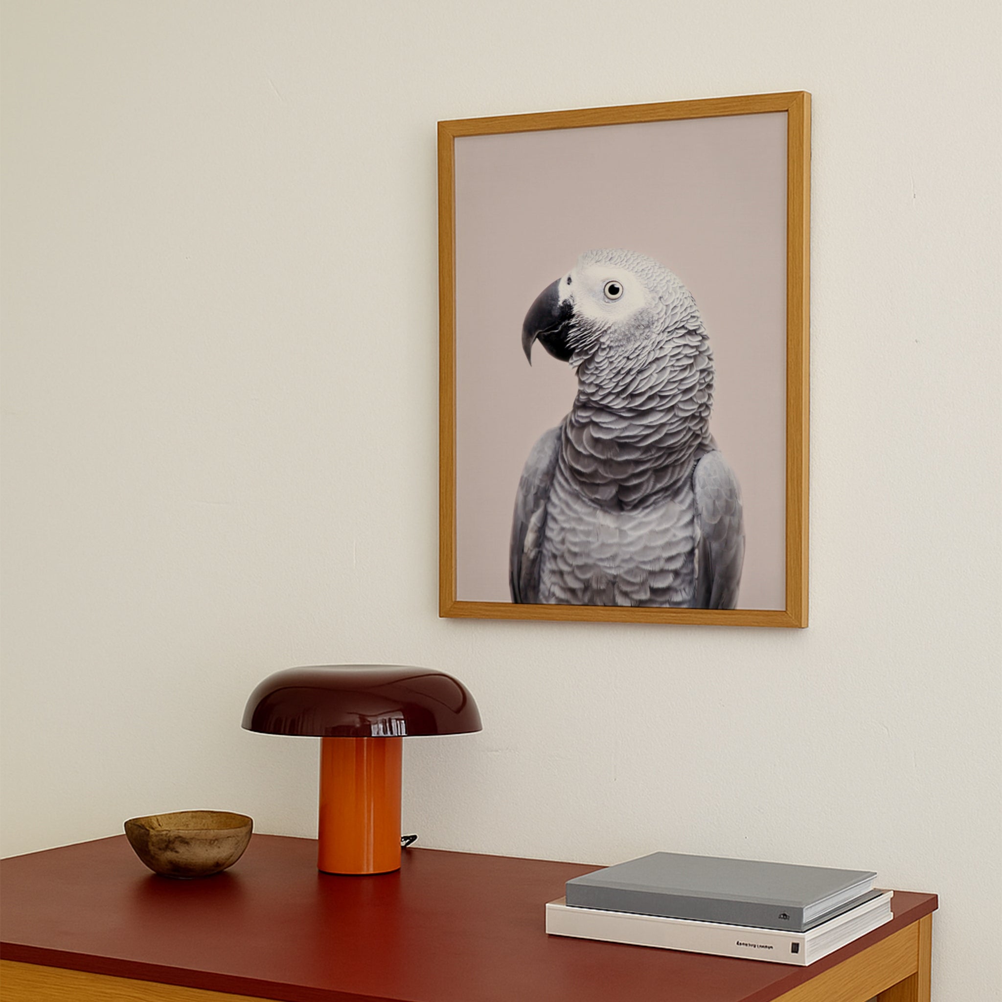 African Grey
