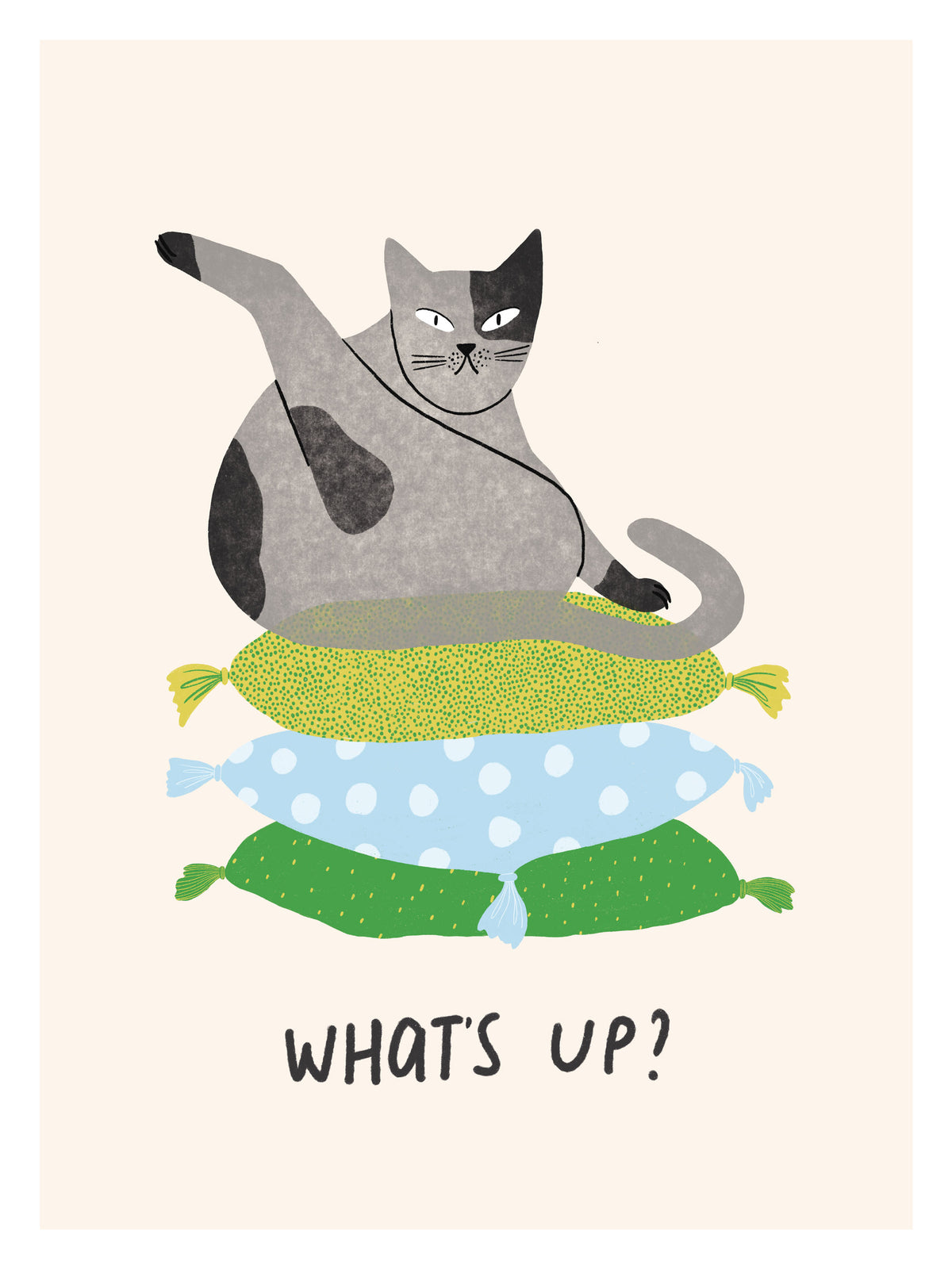 Curious Cushion Cat