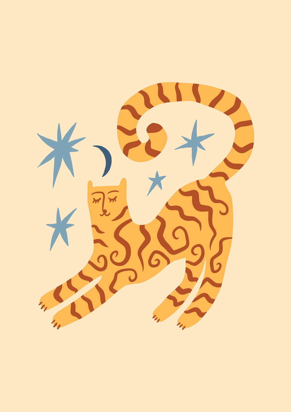 Midnight Stretching Cat