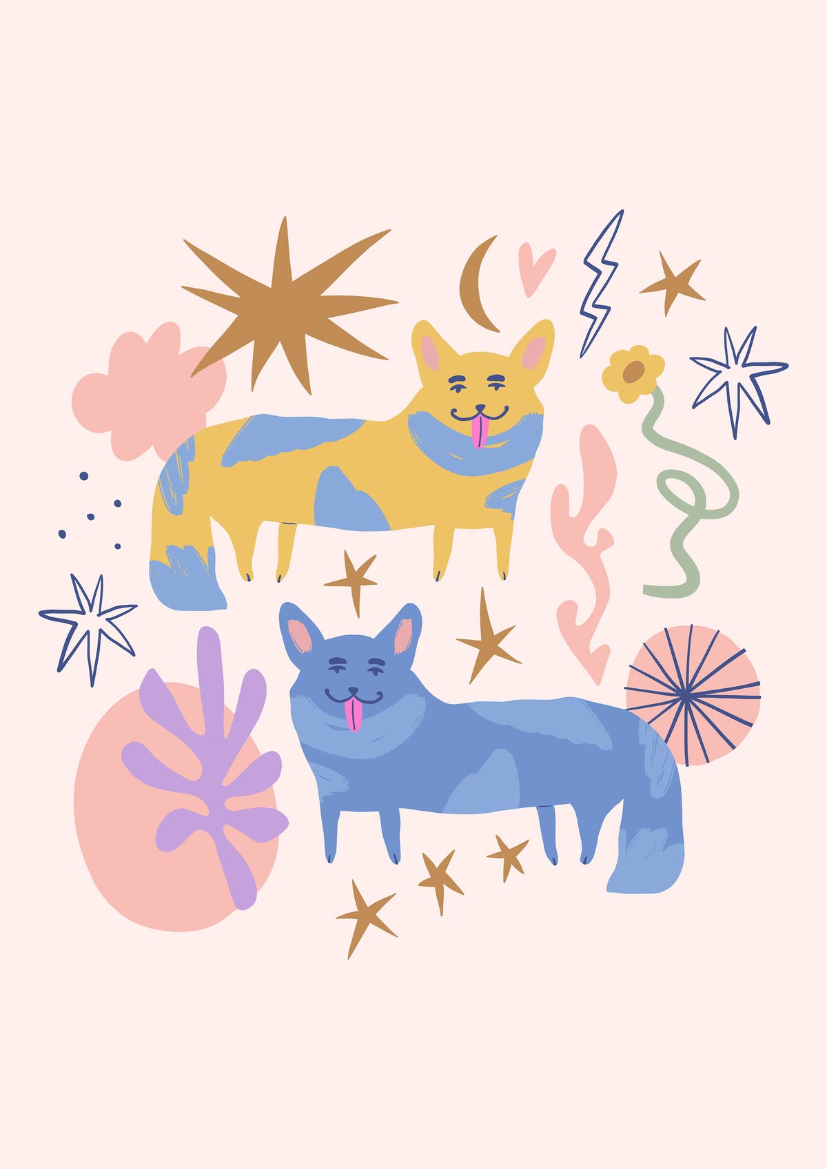 Playful Pair Dogs