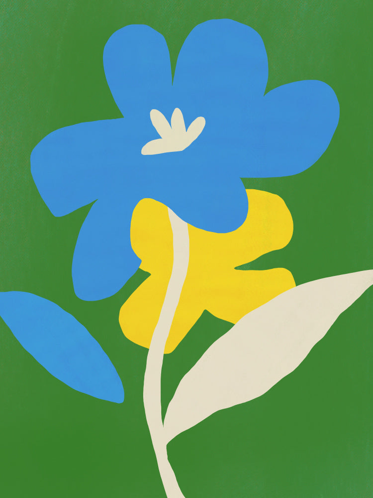 Contrast blue and yellow