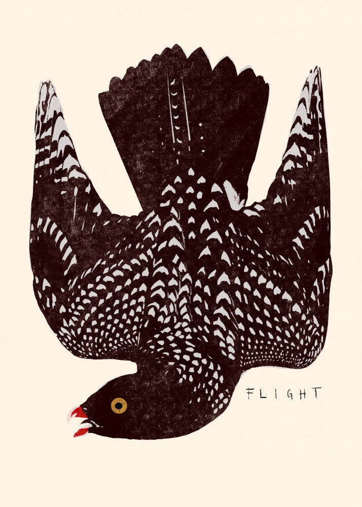 Speckled Bird Flight