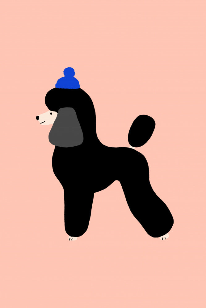 Poodle