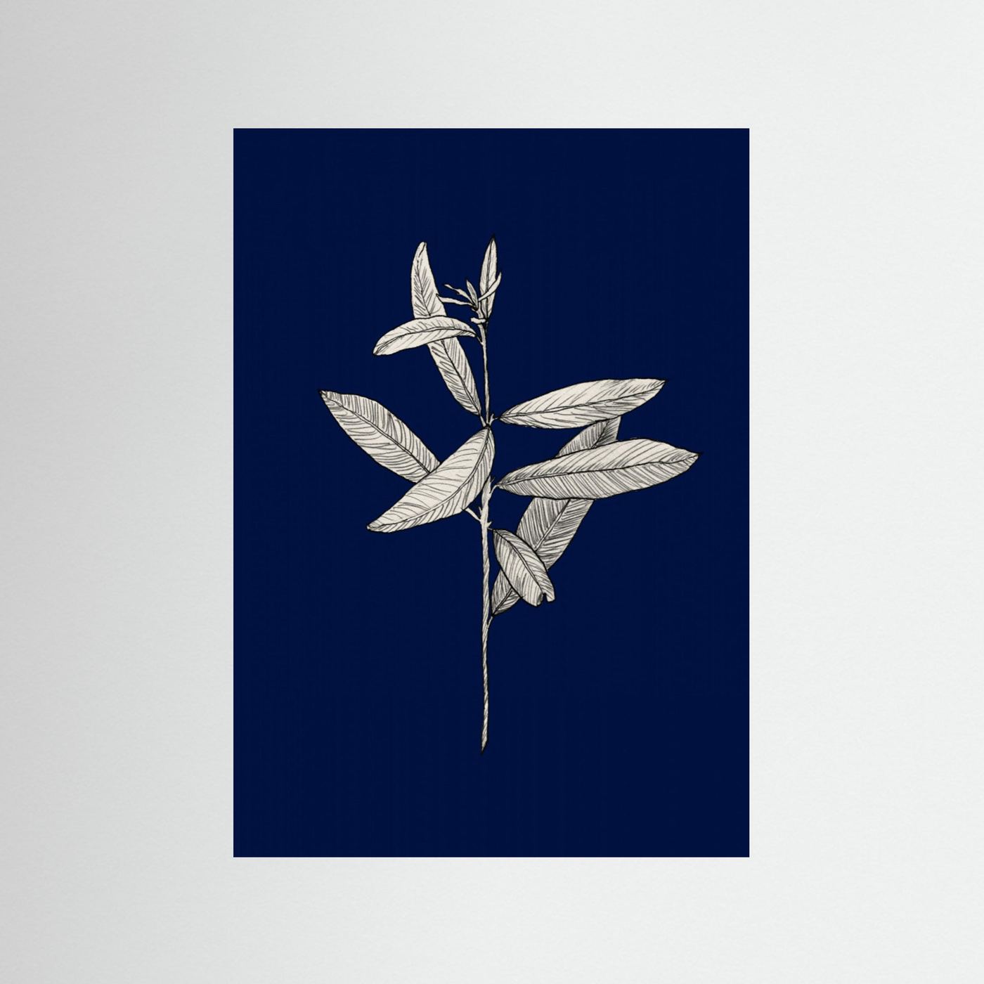 Botanical02 by Danushka Abeygoda