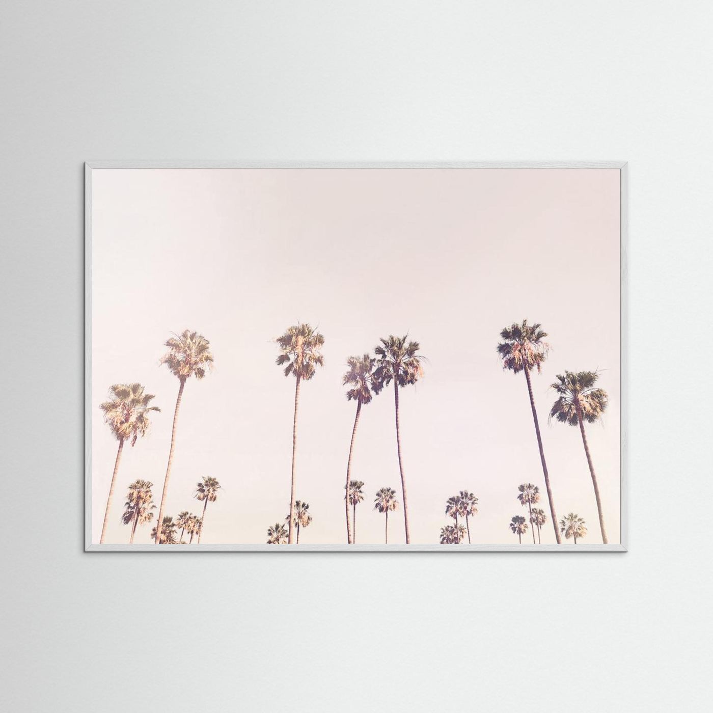 Sunny Cali Palm Trees by Kathrin Pienaar