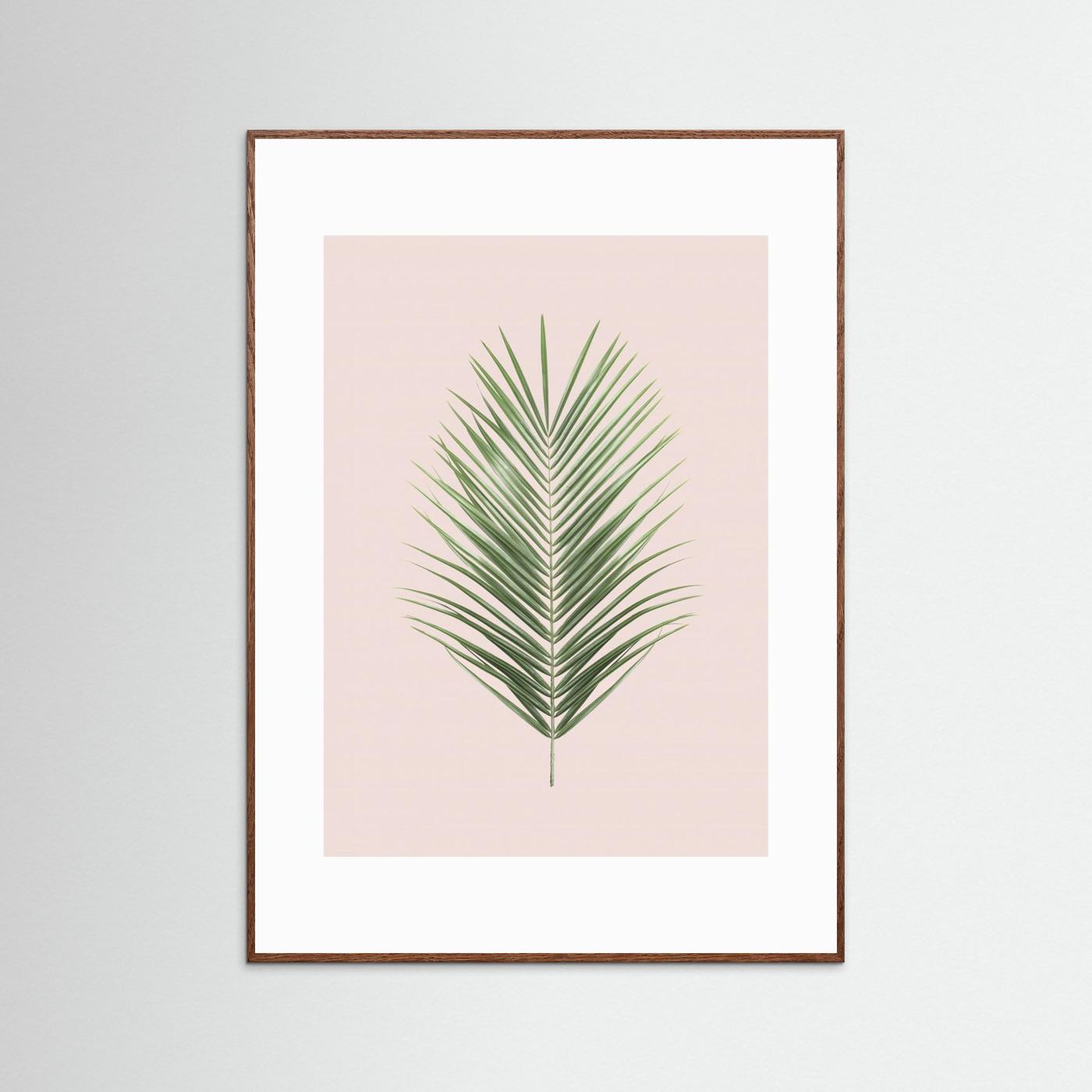 Palm Leaf Blush by Kathrin Pienaar
