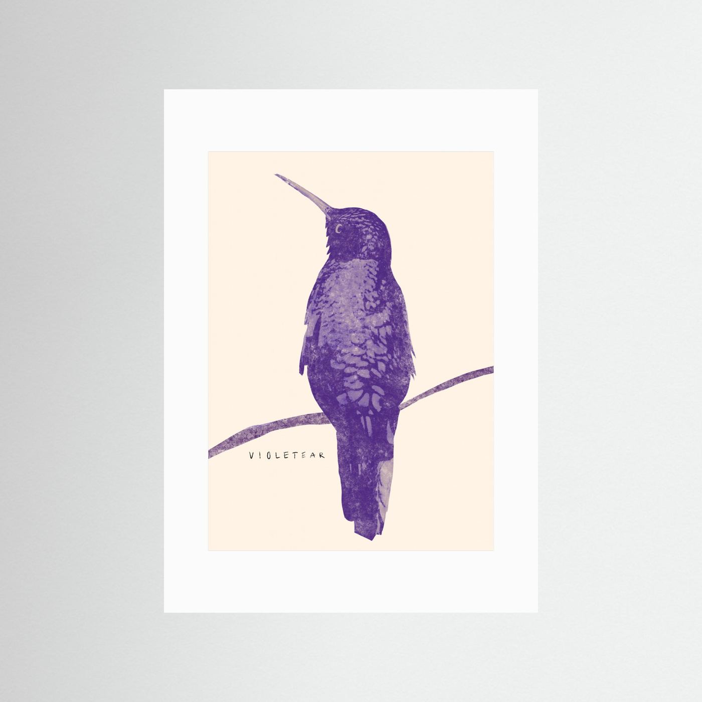 Elegant Violet Hummingbird by Josephin Hermsdorf