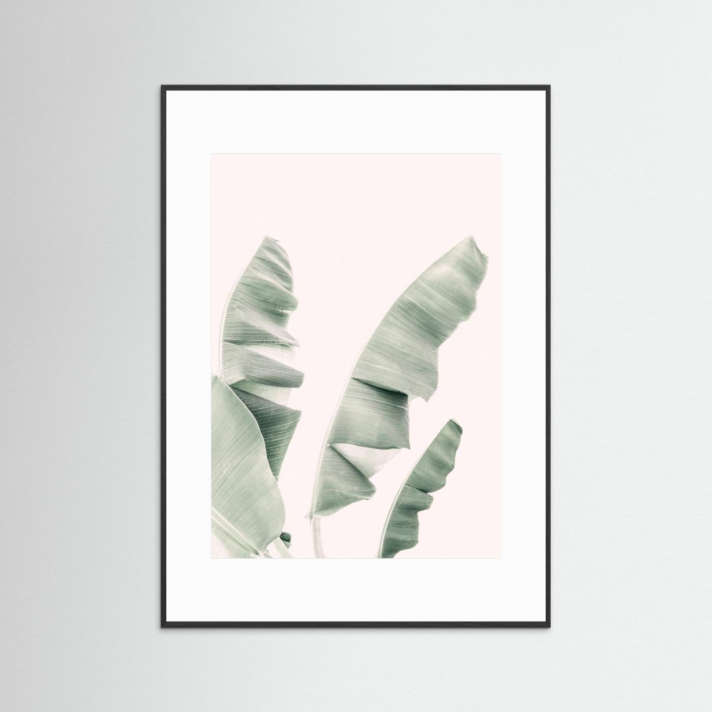 Blush Banana Leaves by Kathrin Pienaar