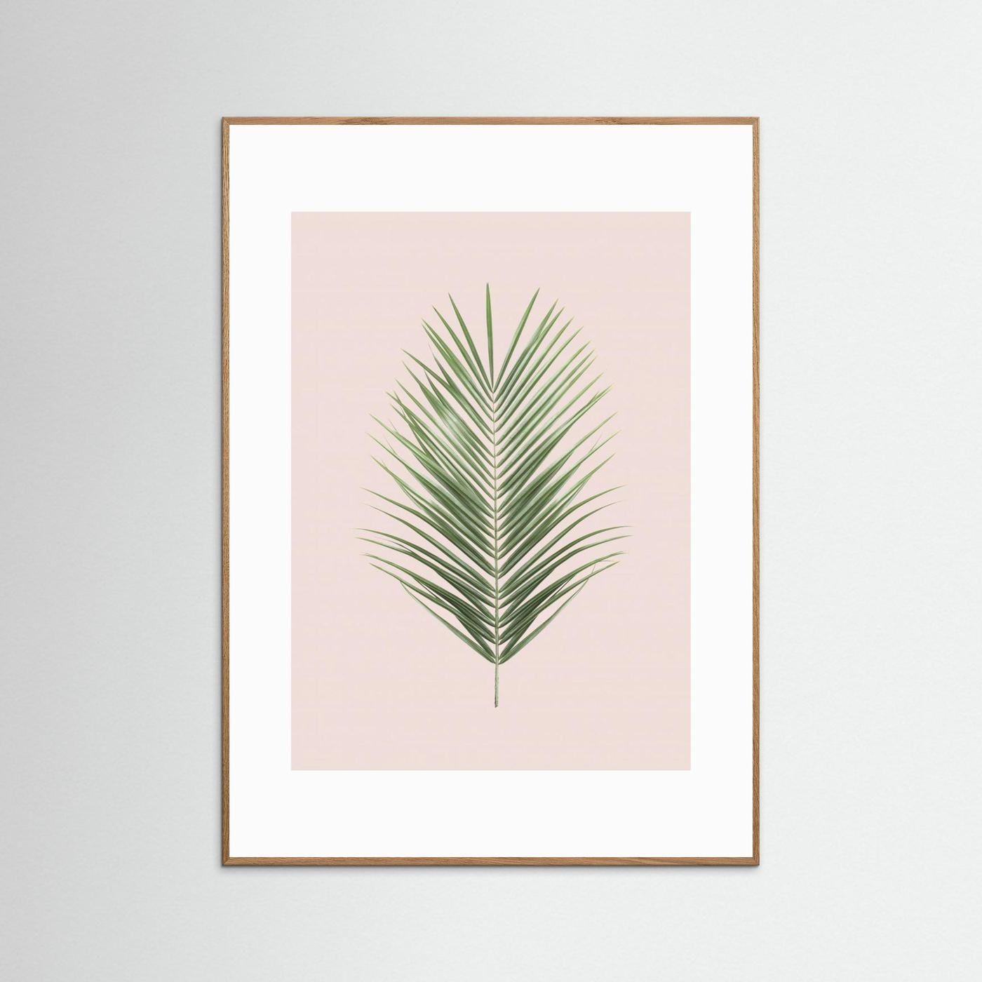Palm Leaf Blush by Kathrin Pienaar
