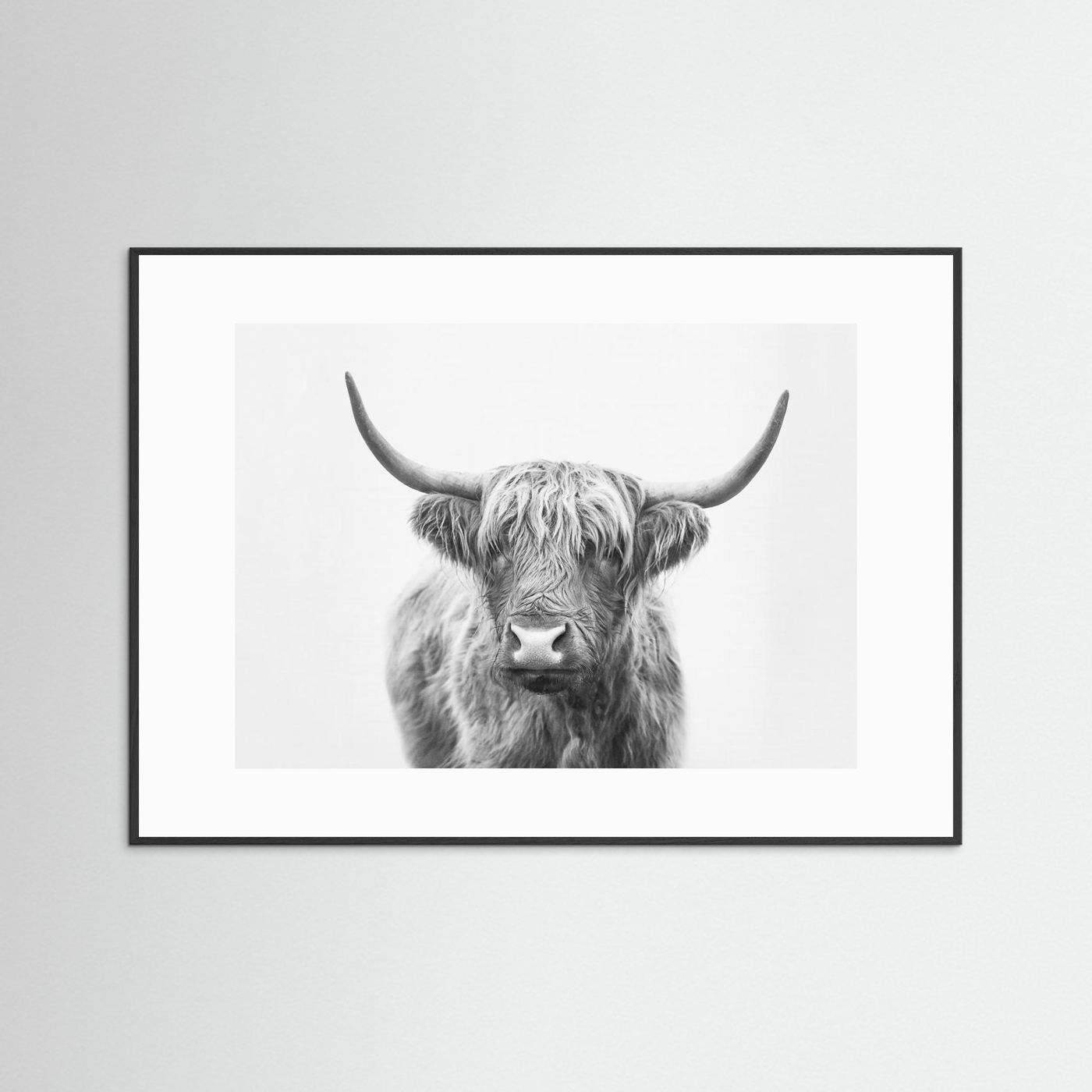 Highland Bull by Kathrin Pienaar