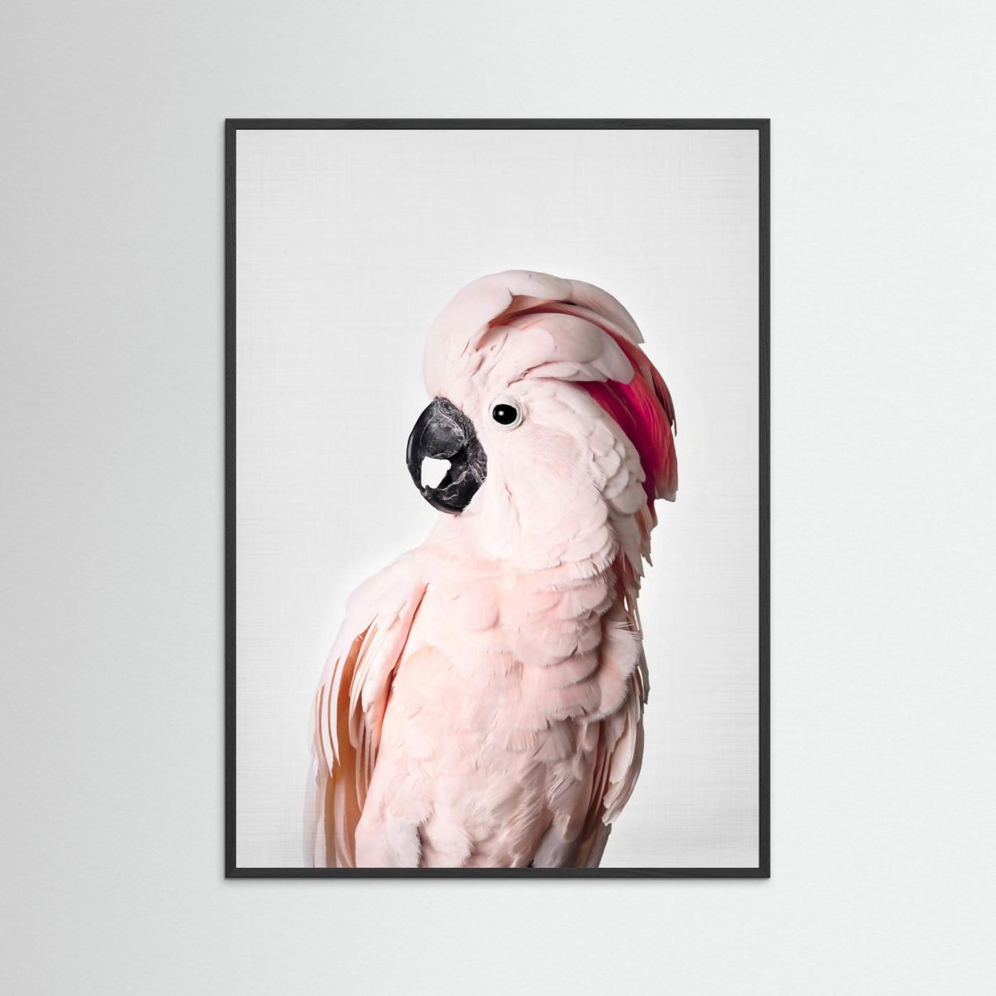 Pink Cockatoo by Kathrin Pienaar