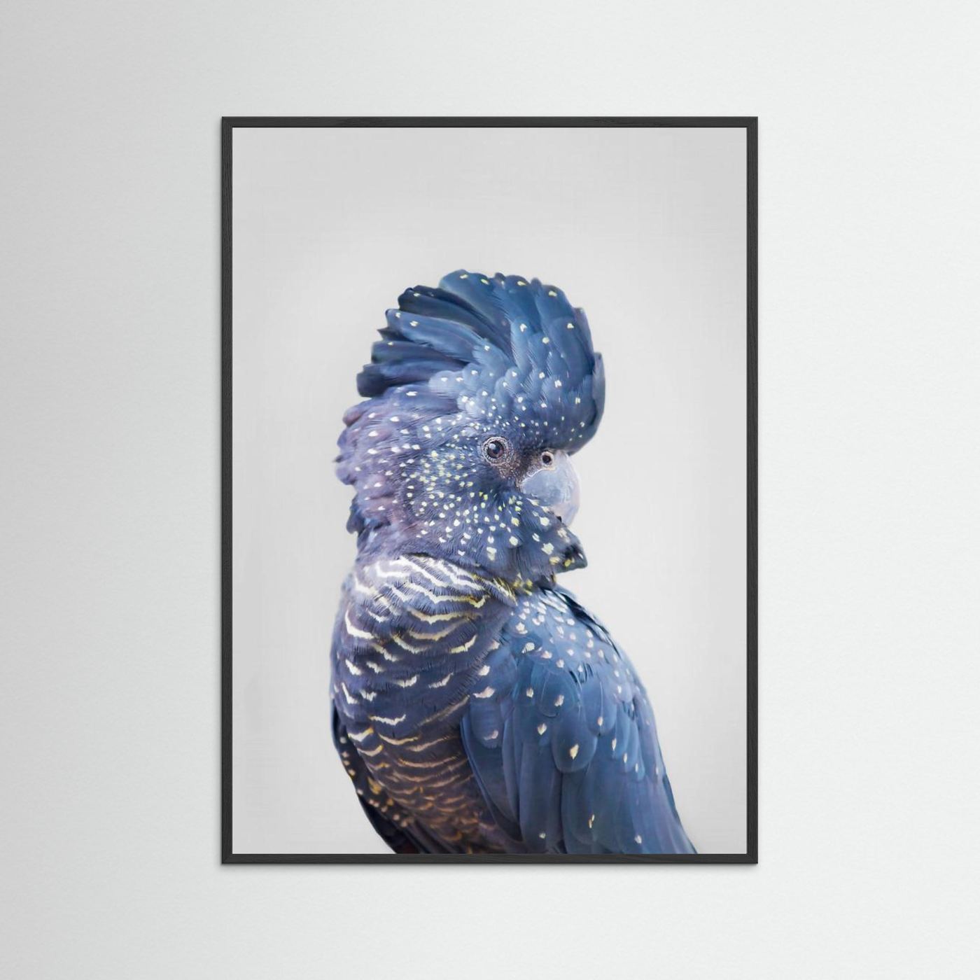 Black Cockatoo by Kathrin Pienaar