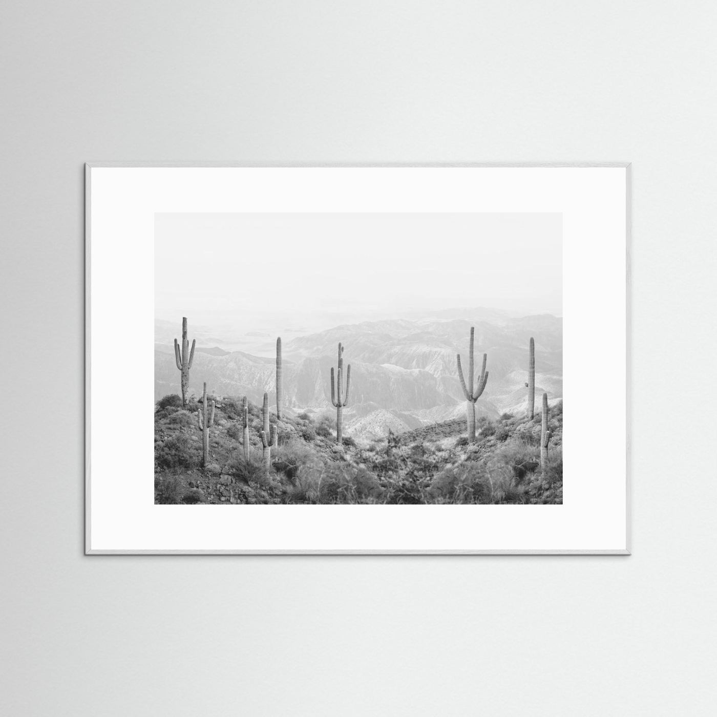 Western Cactus by Kathrin Pienaar