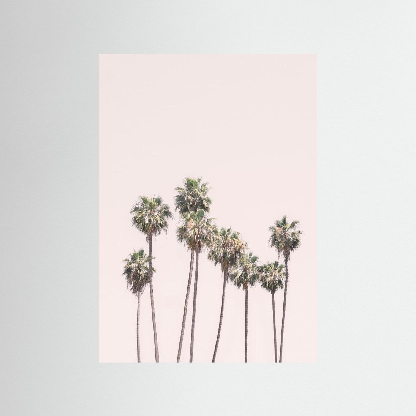 Blush Palms by Kathrin Pienaar