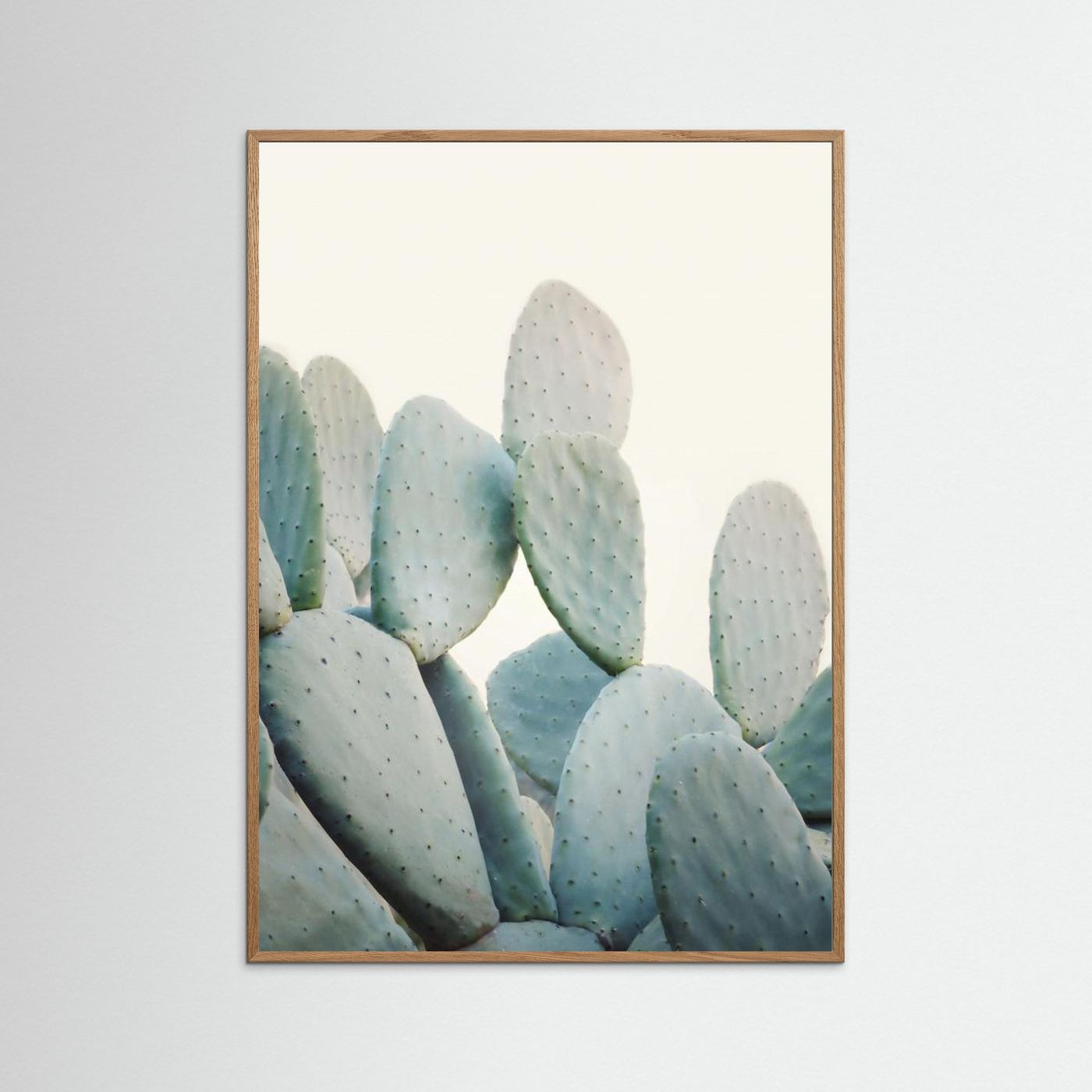 Pastel Cacti by Kathrin Pienaar