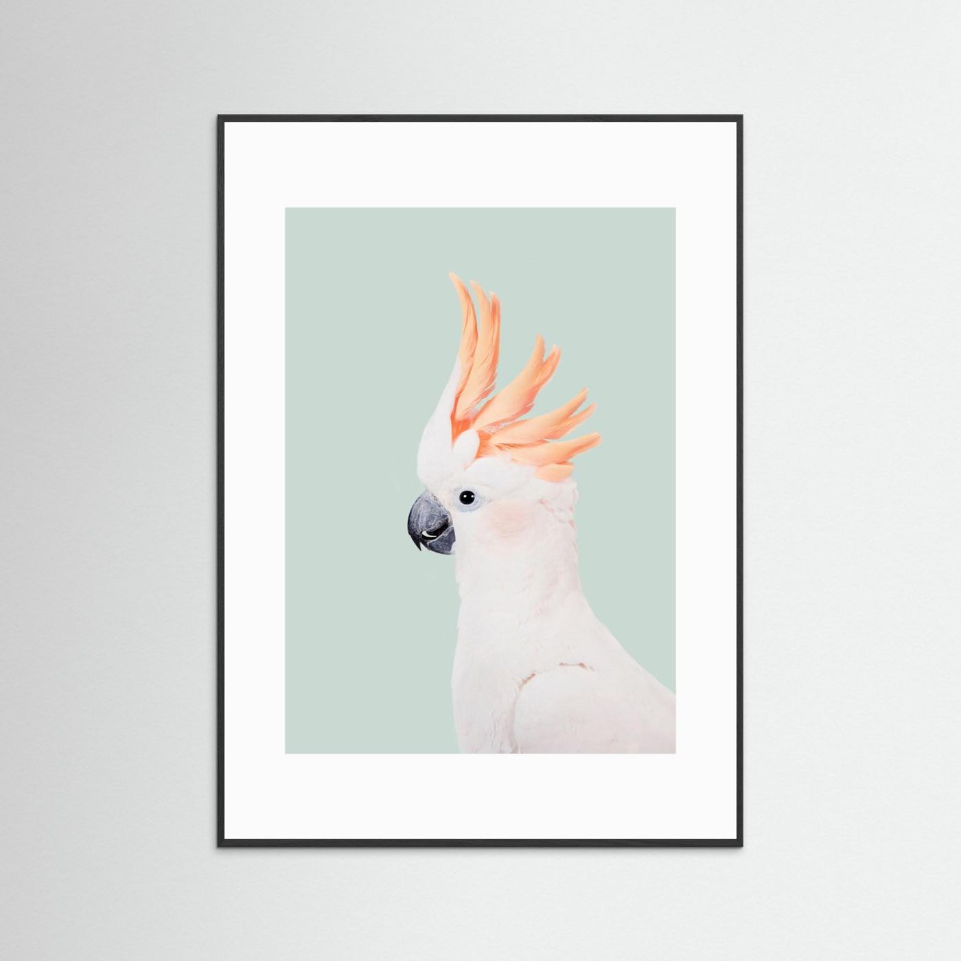 Cockatoo on Mint by Kathrin Pienaar