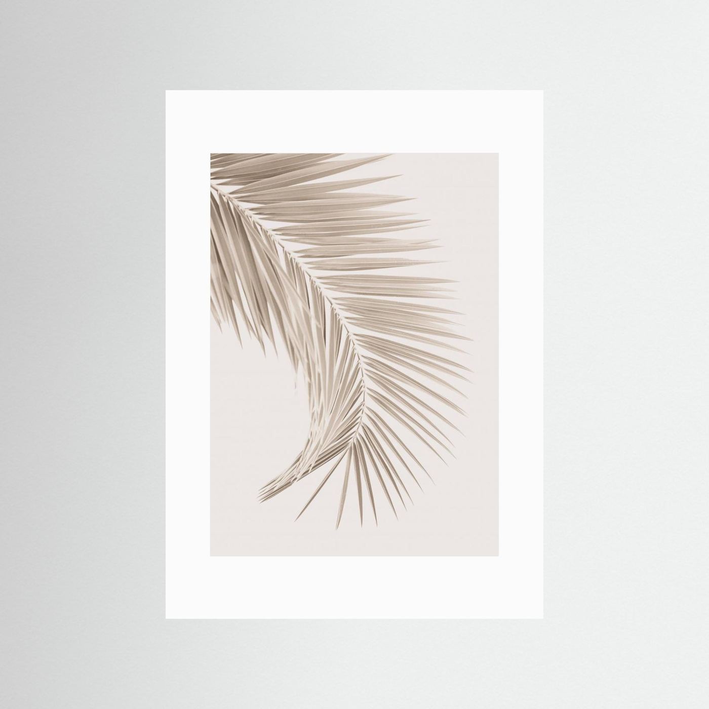 Tan Leaf by Kathrin Pienaar
