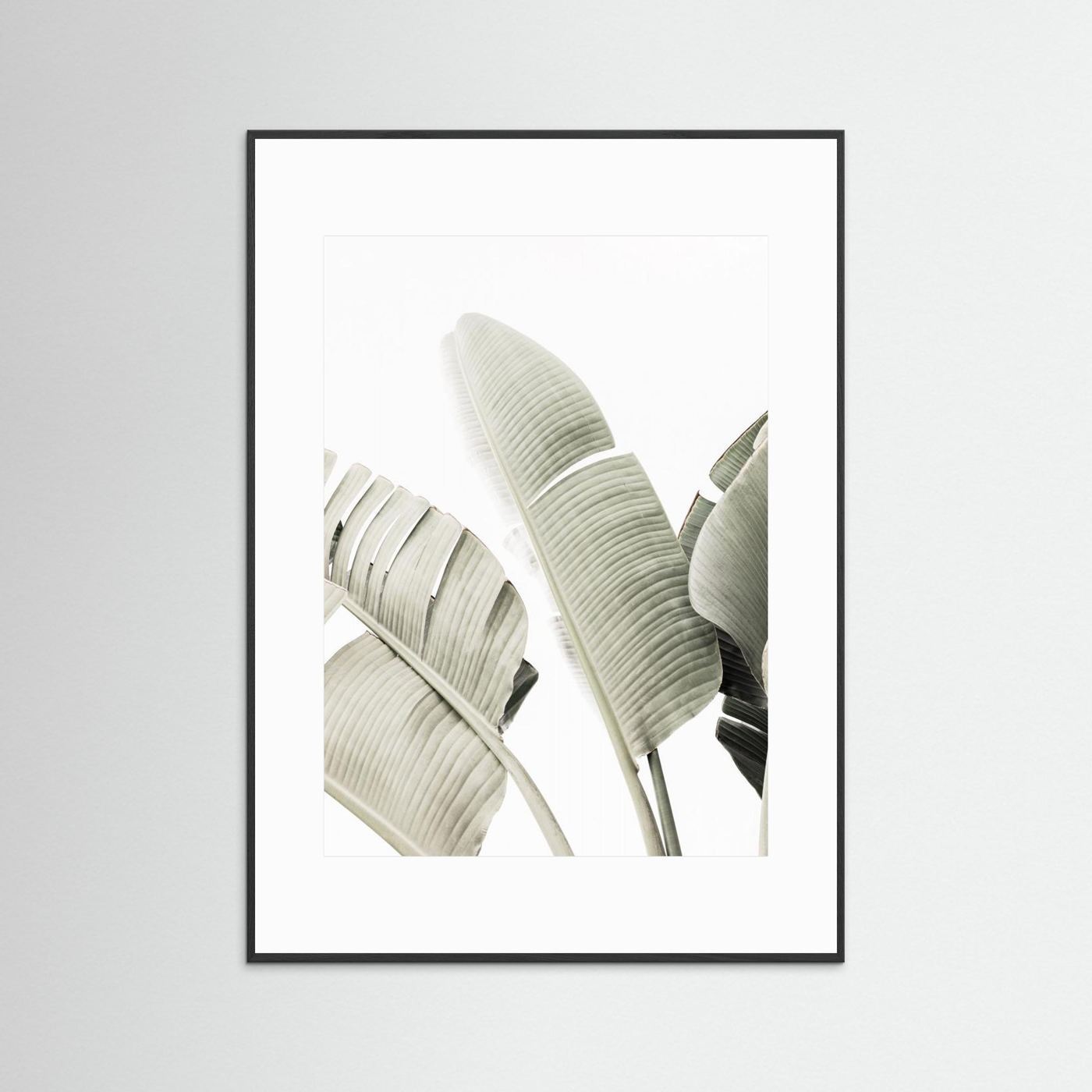 Banana leaf 1 by Kathrin Pienaar