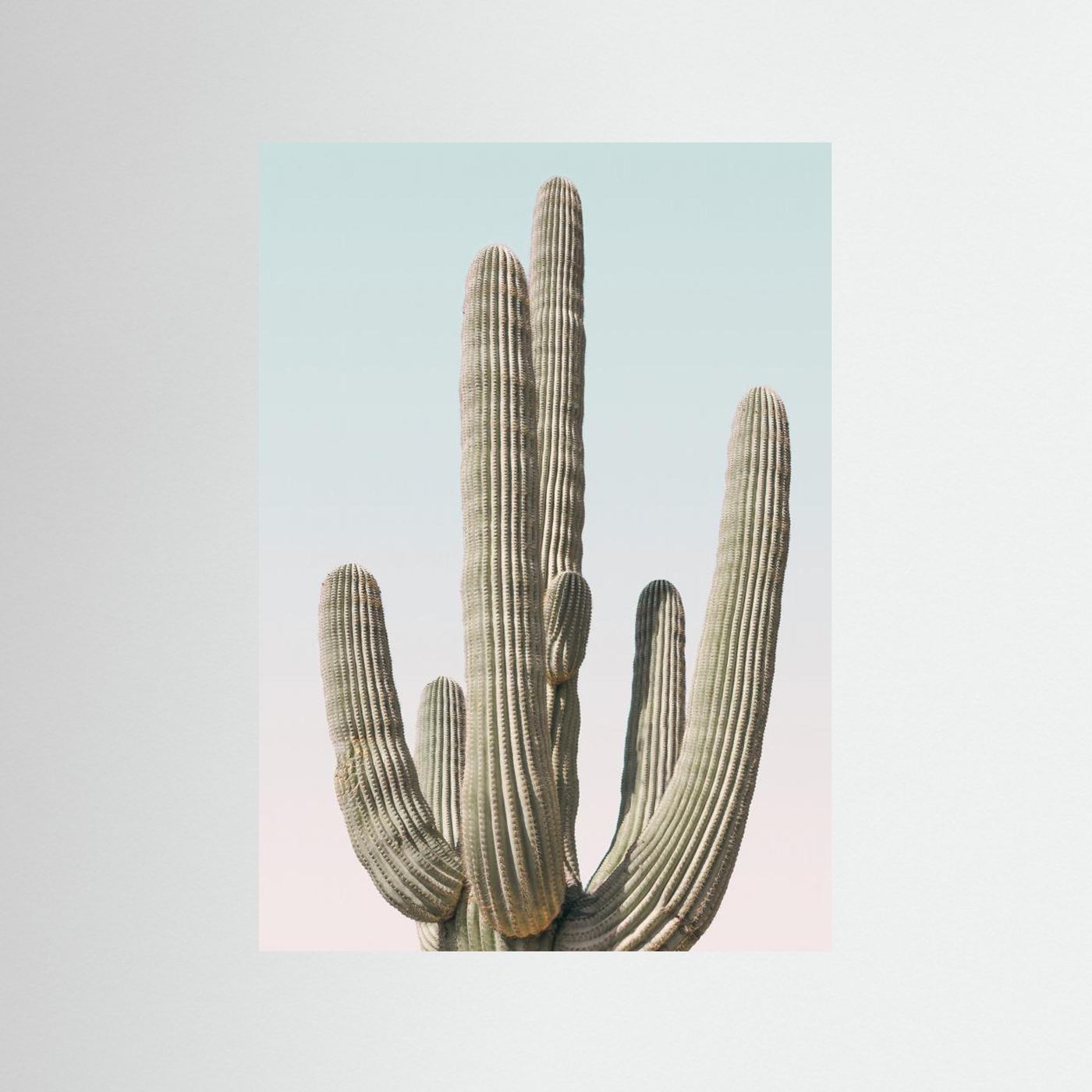 Saguaro by Kathrin Pienaar