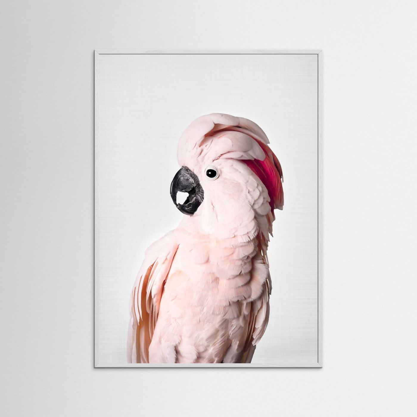 Pink Cockatoo by Kathrin Pienaar