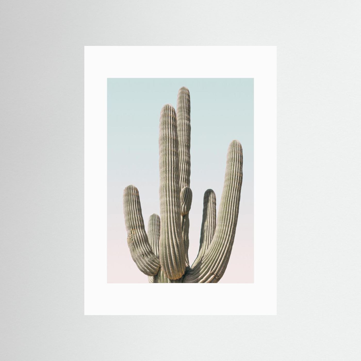 Saguaro by Kathrin Pienaar