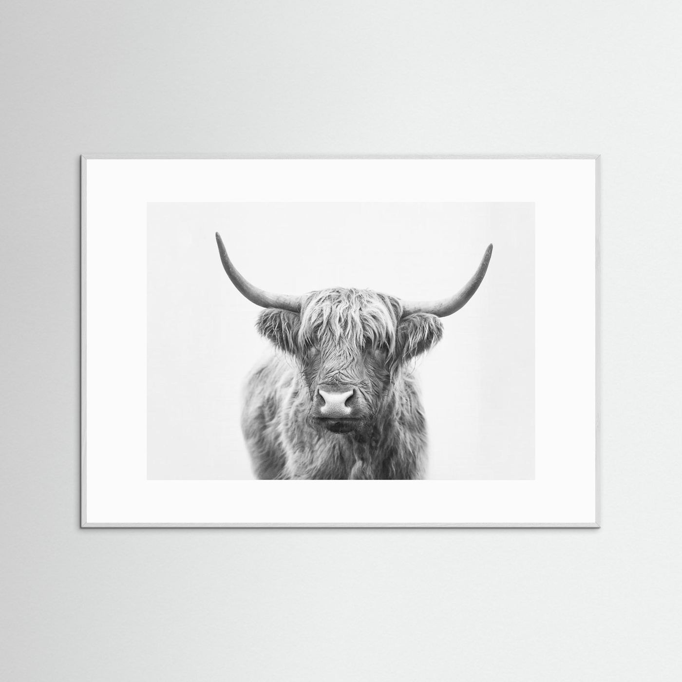 Highland Bull by Kathrin Pienaar