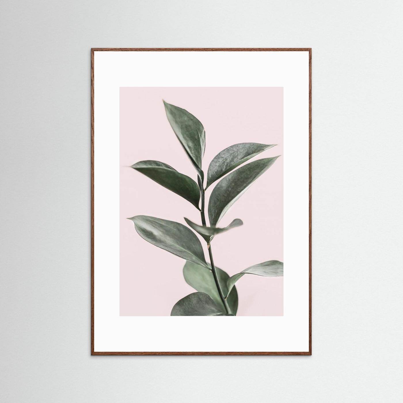 Foliage on Pink by Kathrin Pienaar