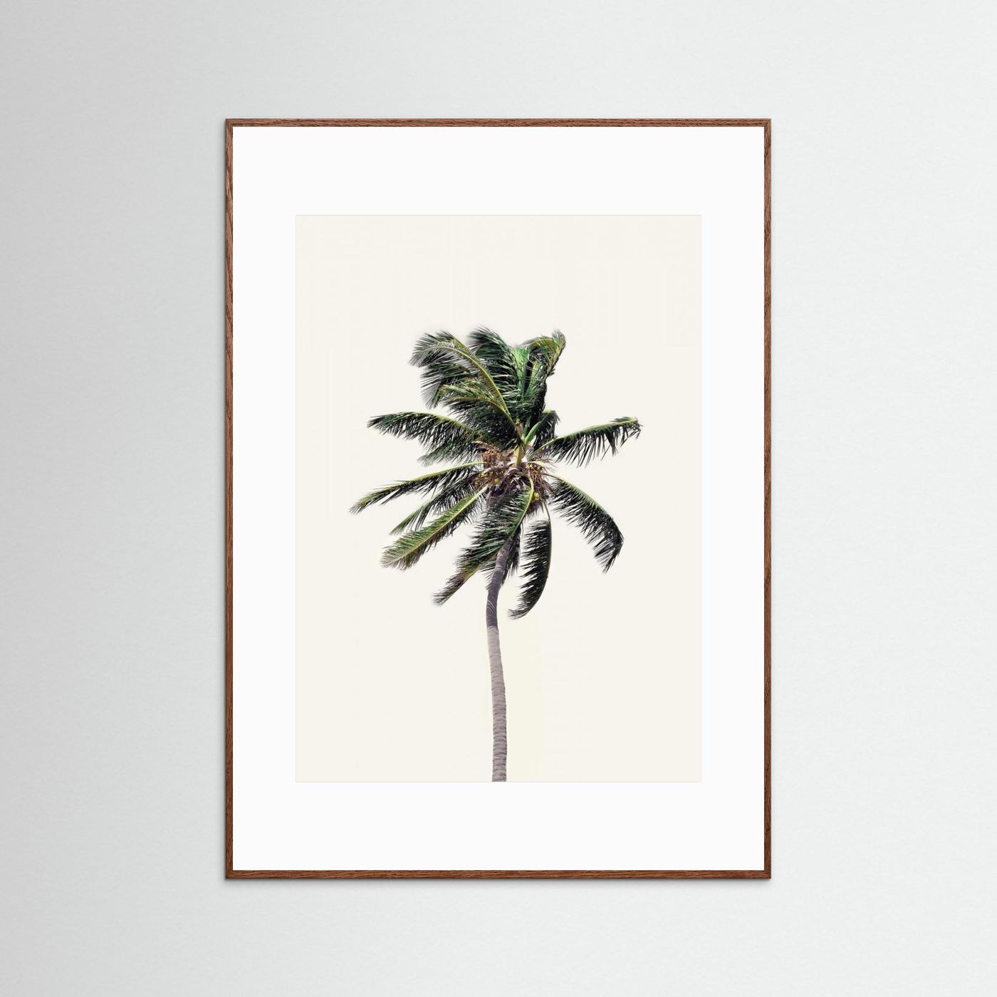 Windy Palm Tree by Kathrin Pienaar