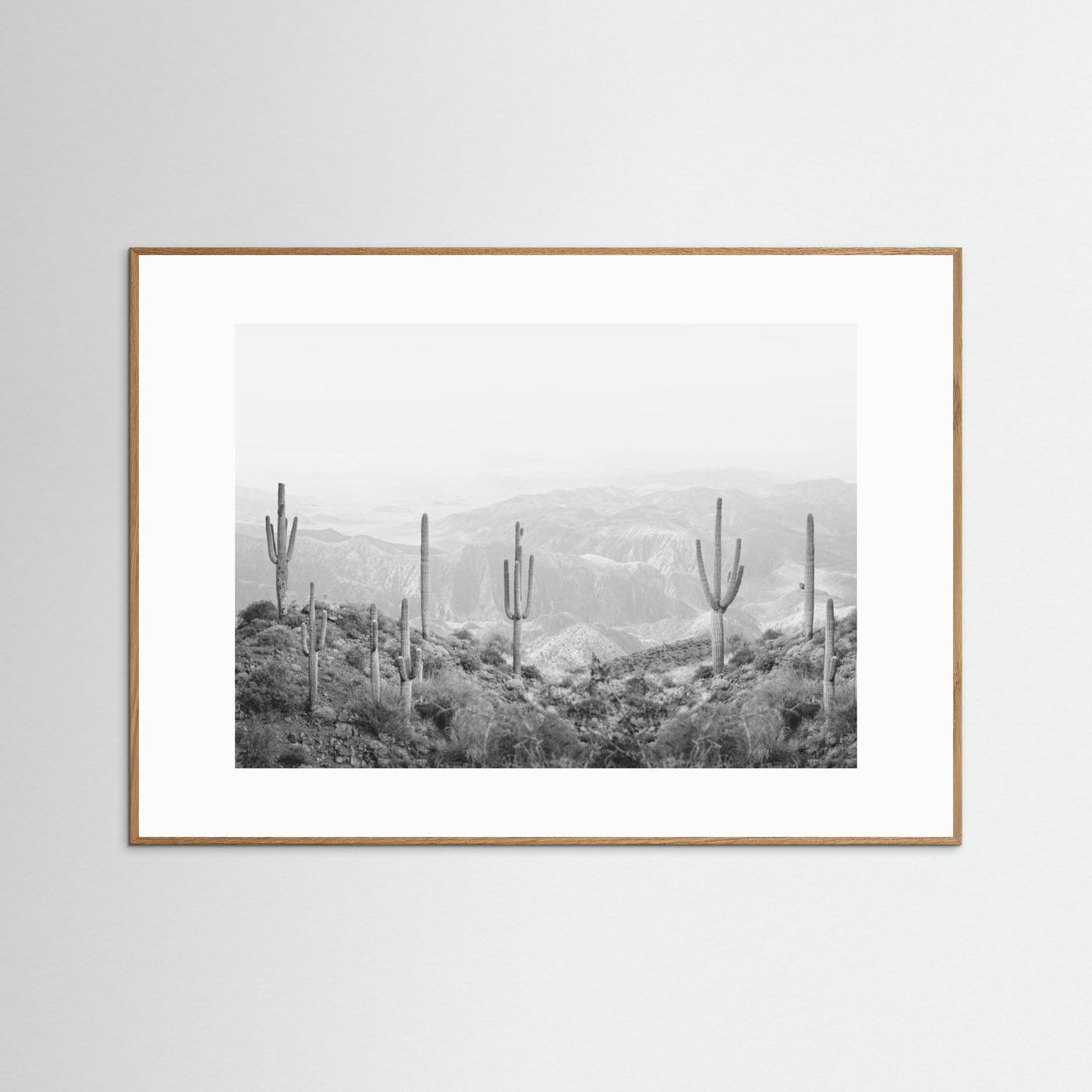 Western Cactus by Kathrin Pienaar