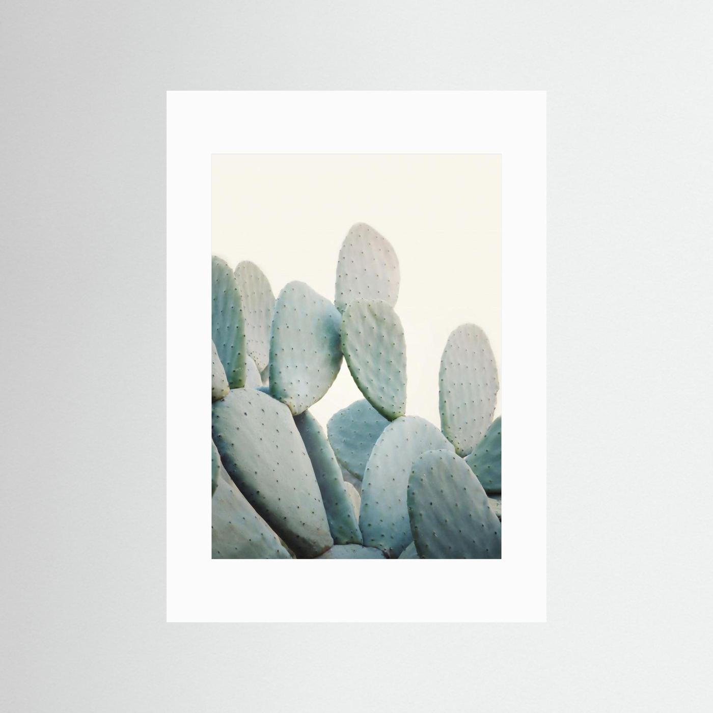 Pastel Cacti by Kathrin Pienaar