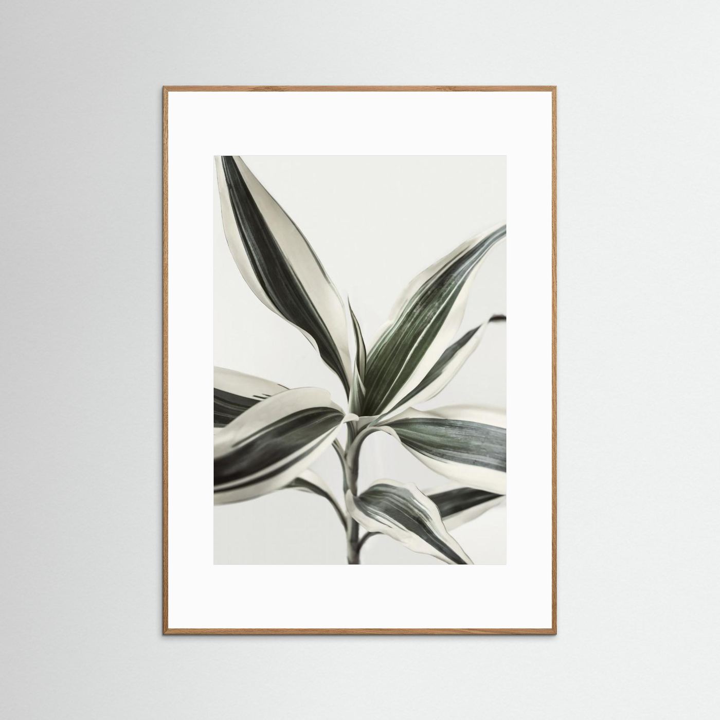 Foliage by Kathrin Pienaar