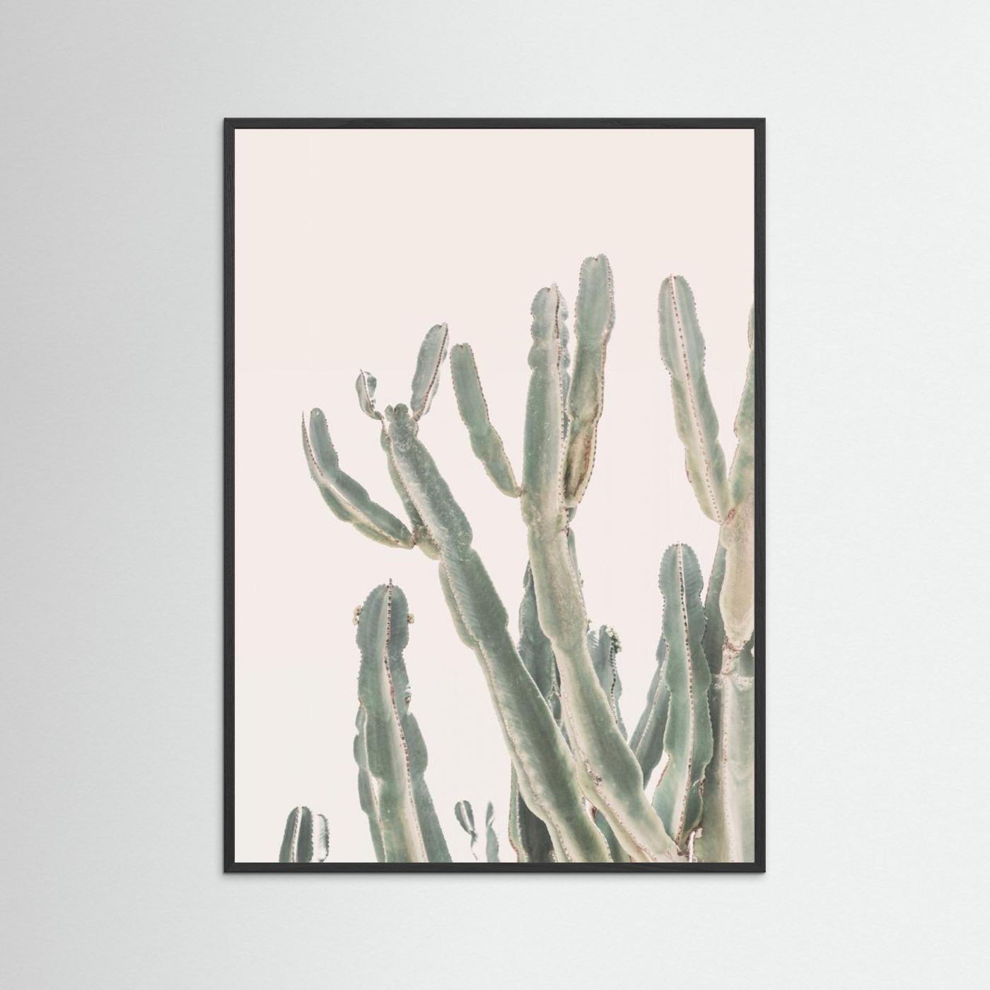 Sunrise Cactus by Kathrin Pienaar