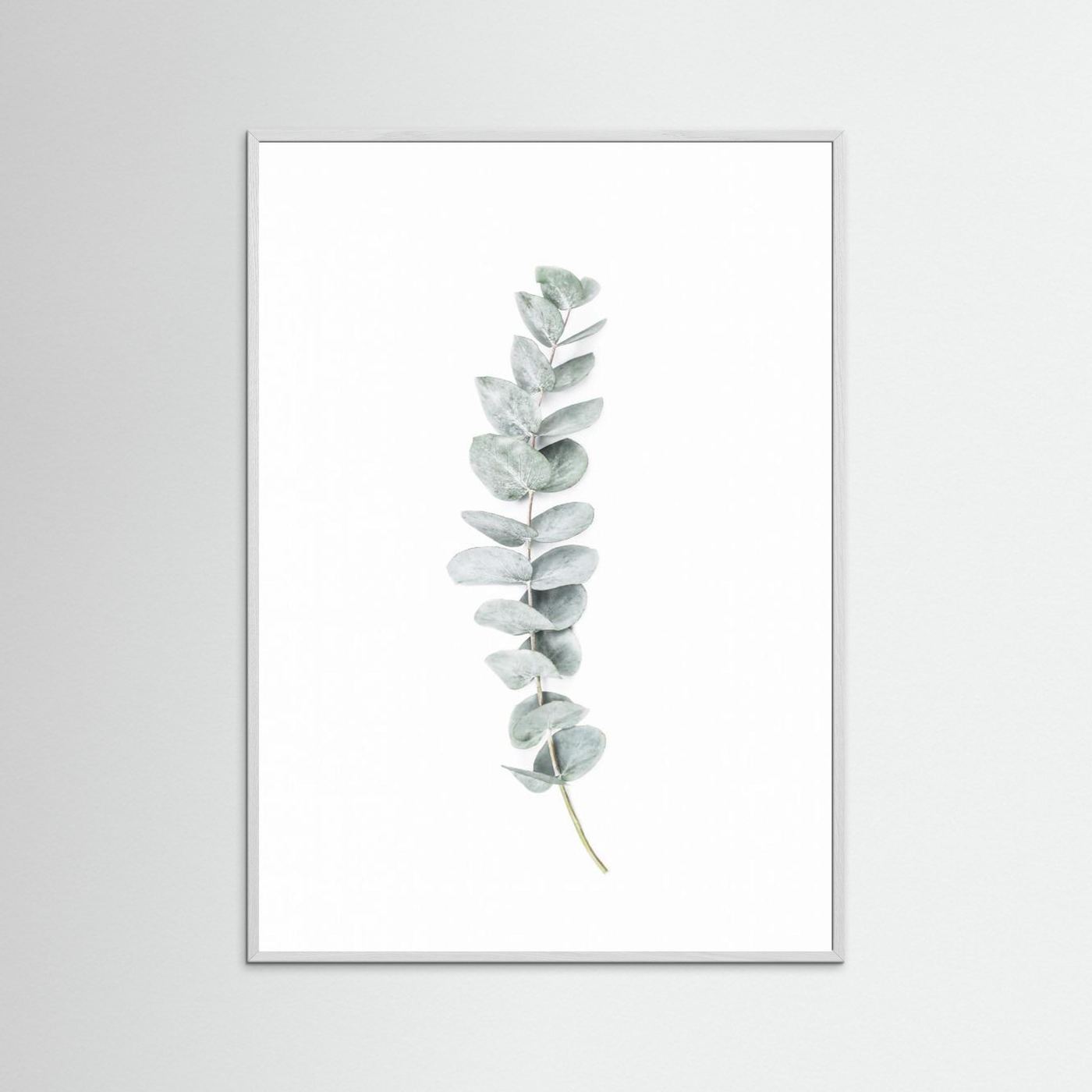 Eucalyptus II by Kathrin Pienaar