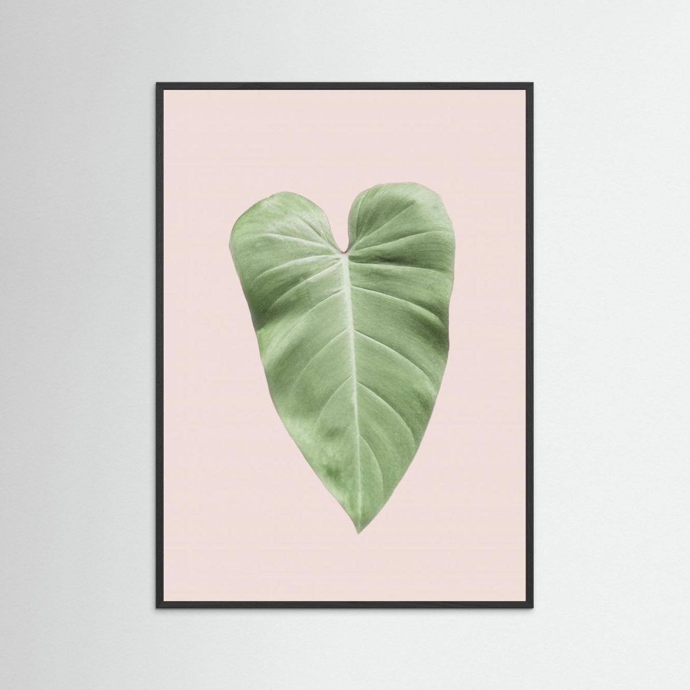 Tropical Leaf Blush by Kathrin Pienaar