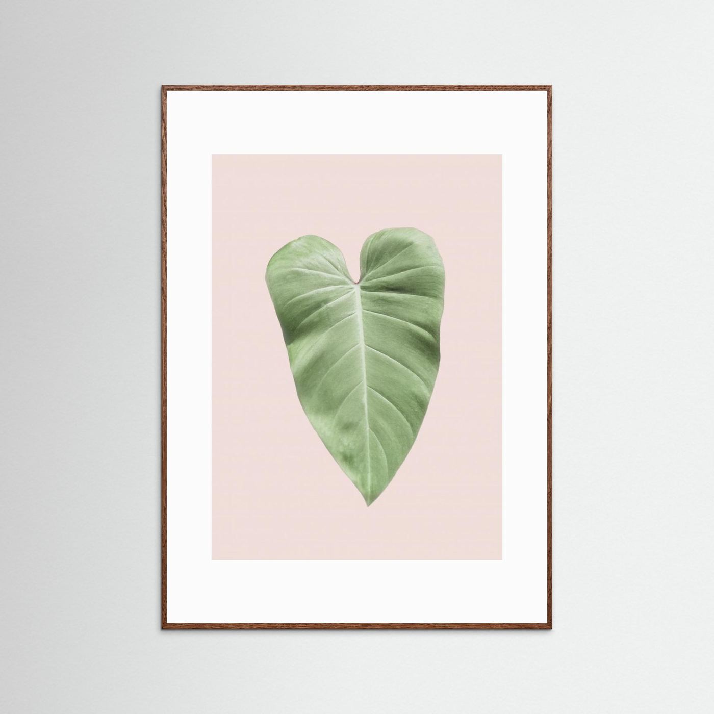 Tropical Leaf Blush by Kathrin Pienaar