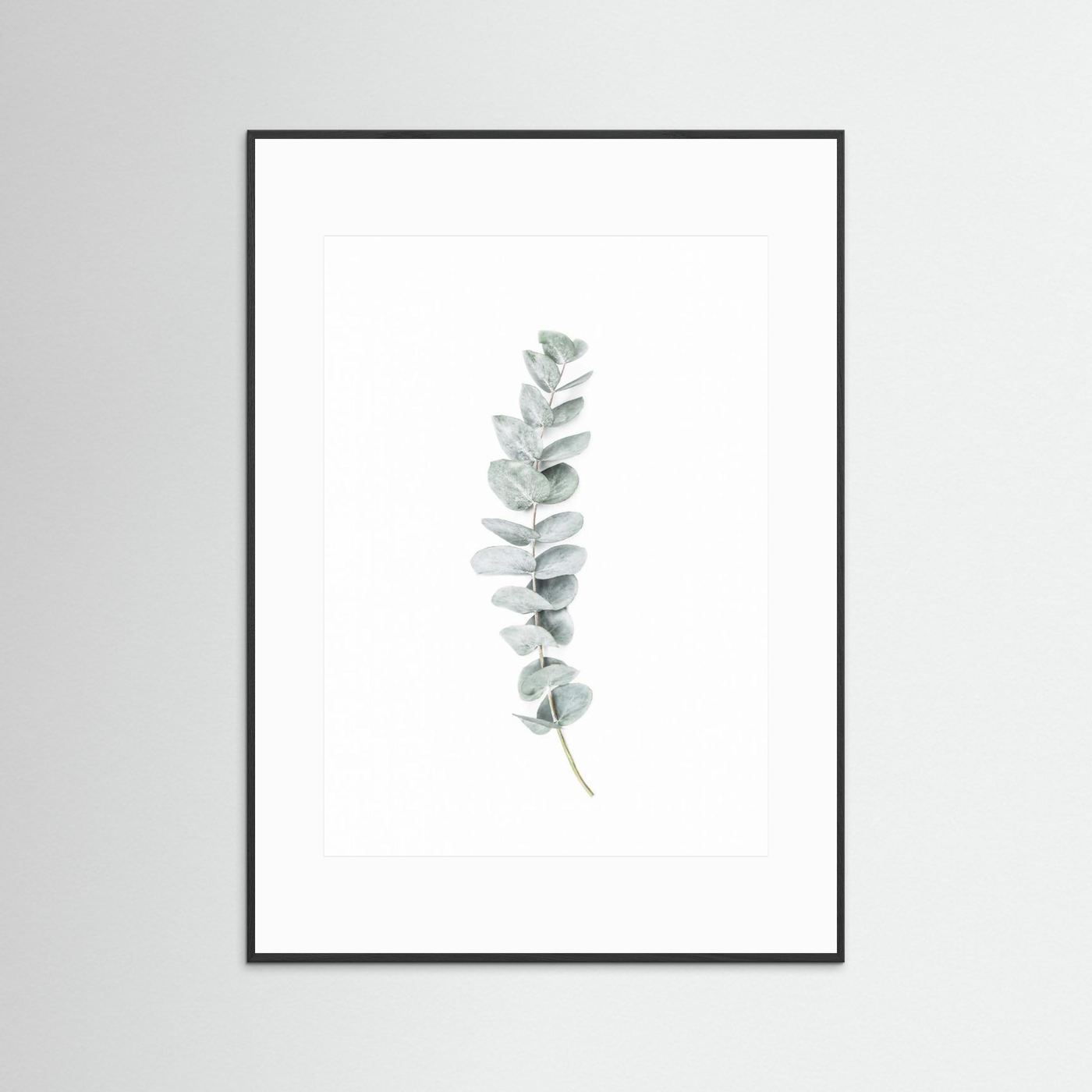 Eucalyptus II by Kathrin Pienaar