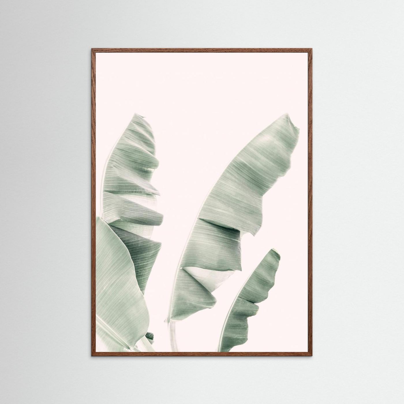 Blush Banana Leaves by Kathrin Pienaar