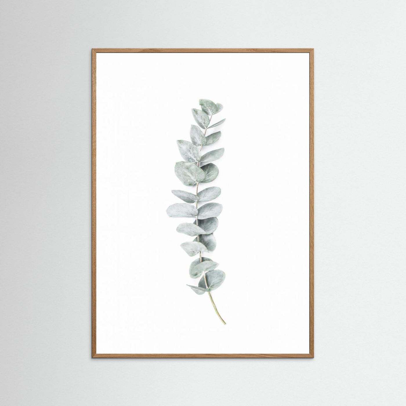 Eucalyptus II by Kathrin Pienaar