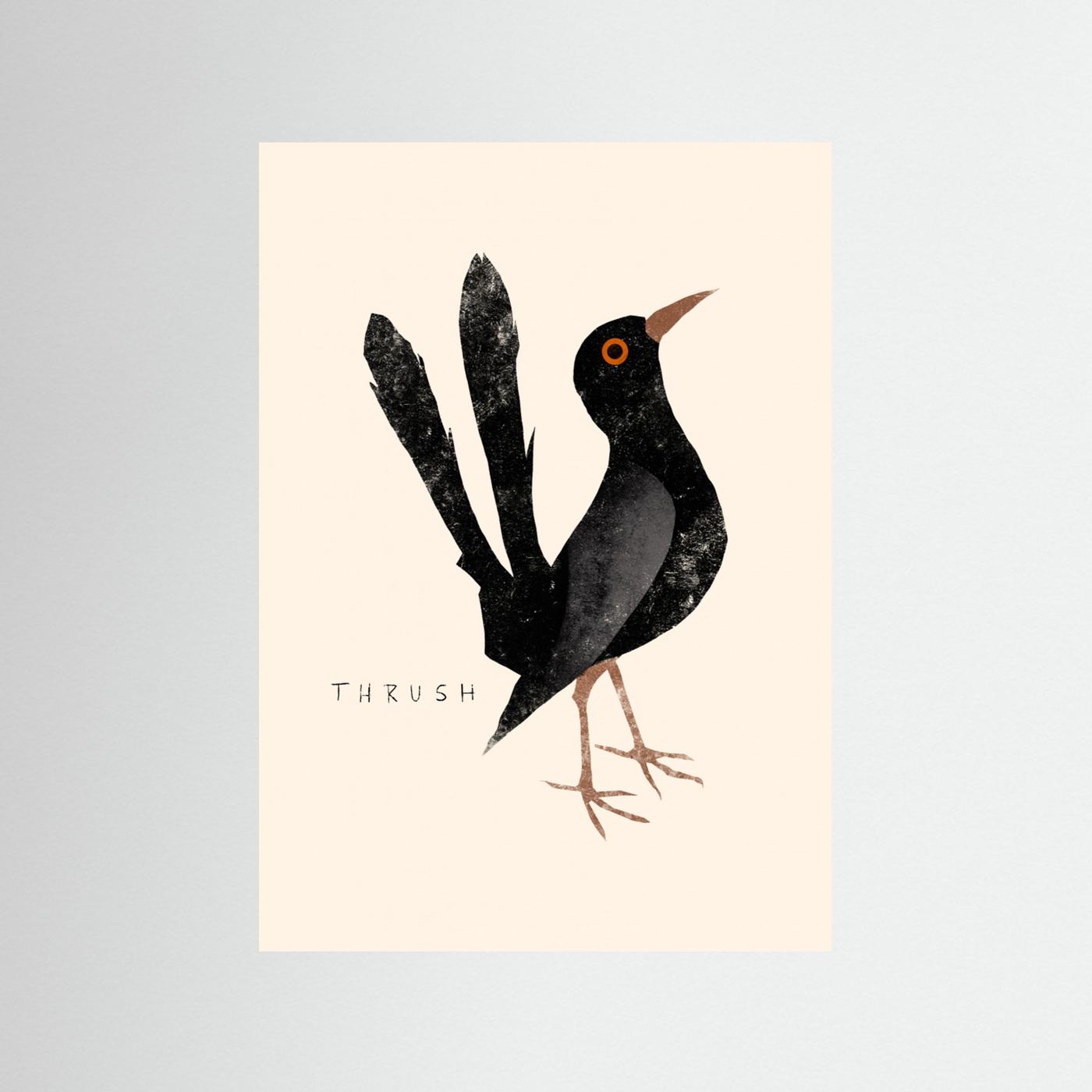 Elegant Black Thrush by Josephin Hermsdorf