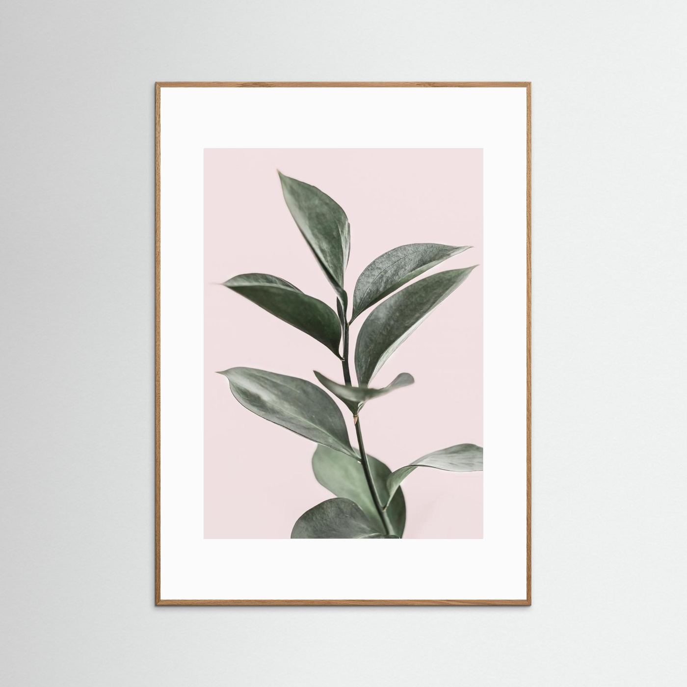 Foliage on Pink by Kathrin Pienaar