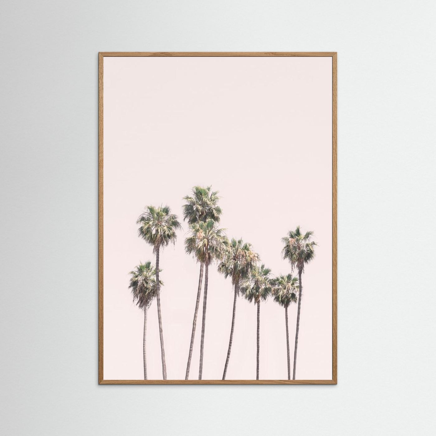 Blush Palms by Kathrin Pienaar