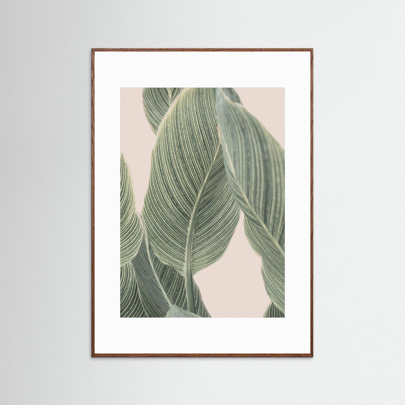 Calla Leaf by Kathrin Pienaar