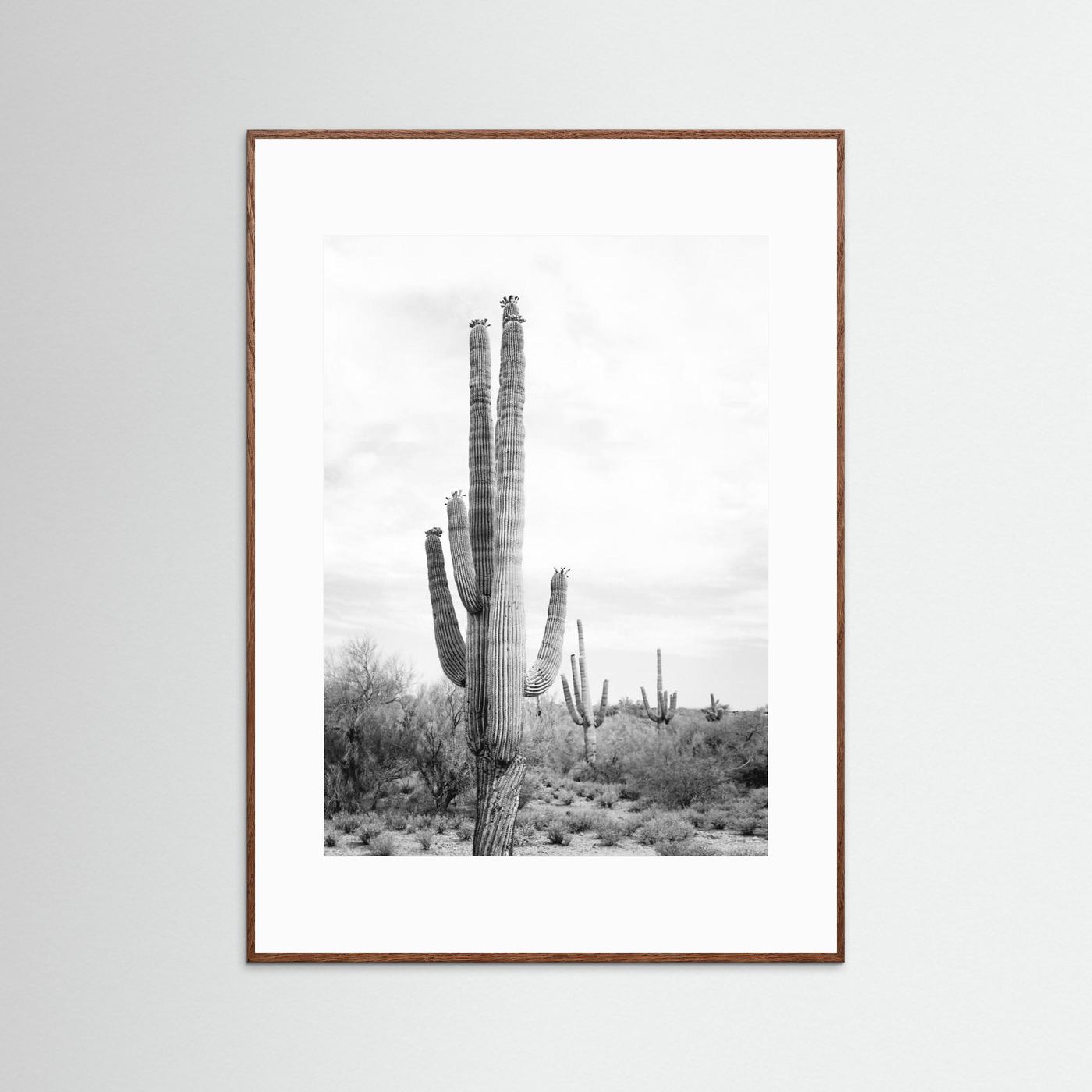 Saguaro B&W by Kathrin Pienaar