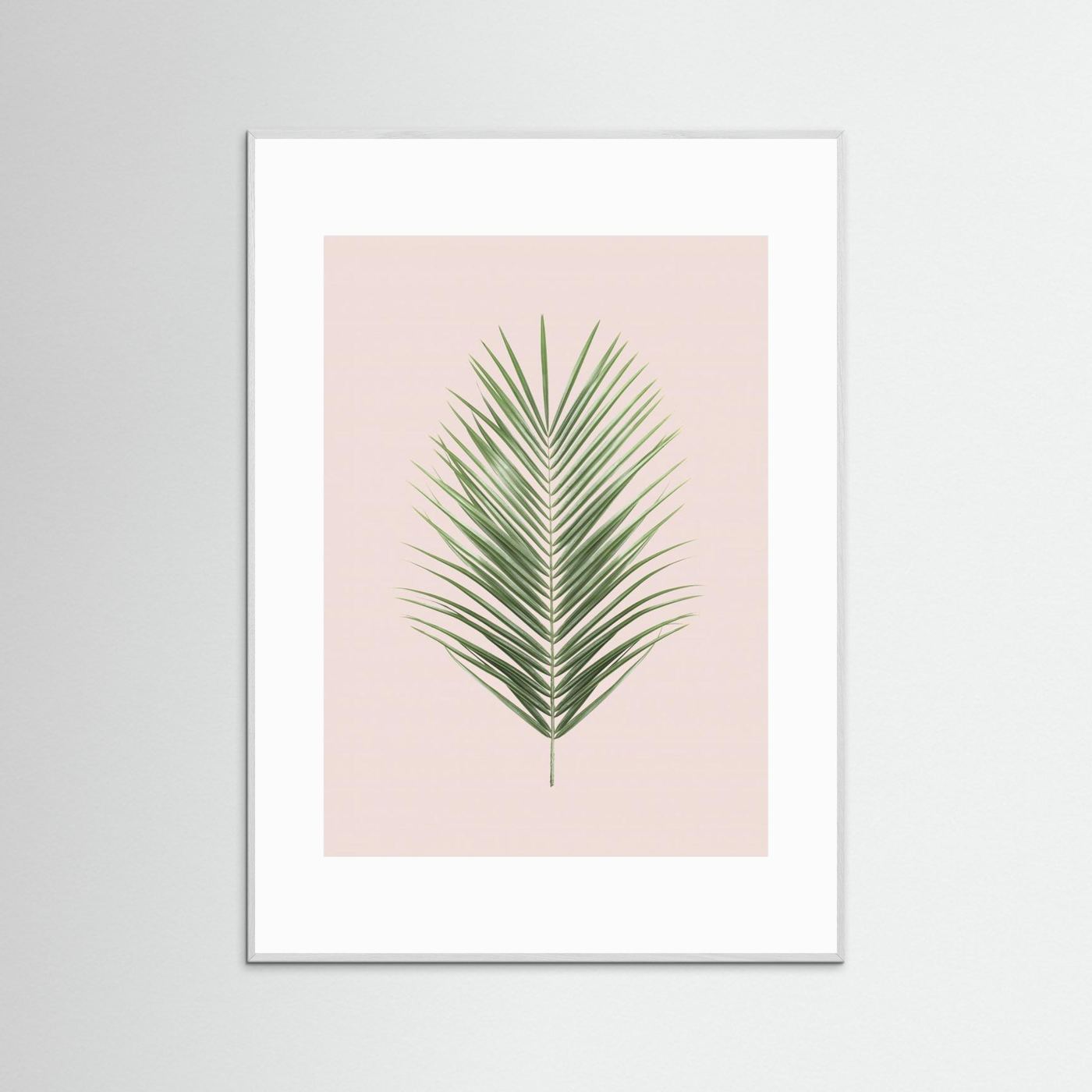 Palm Leaf Blush by Kathrin Pienaar