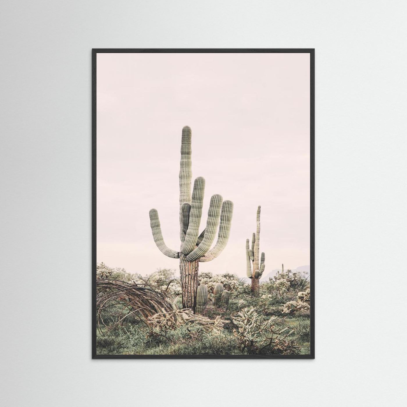 Pink Saguaro by Kathrin Pienaar
