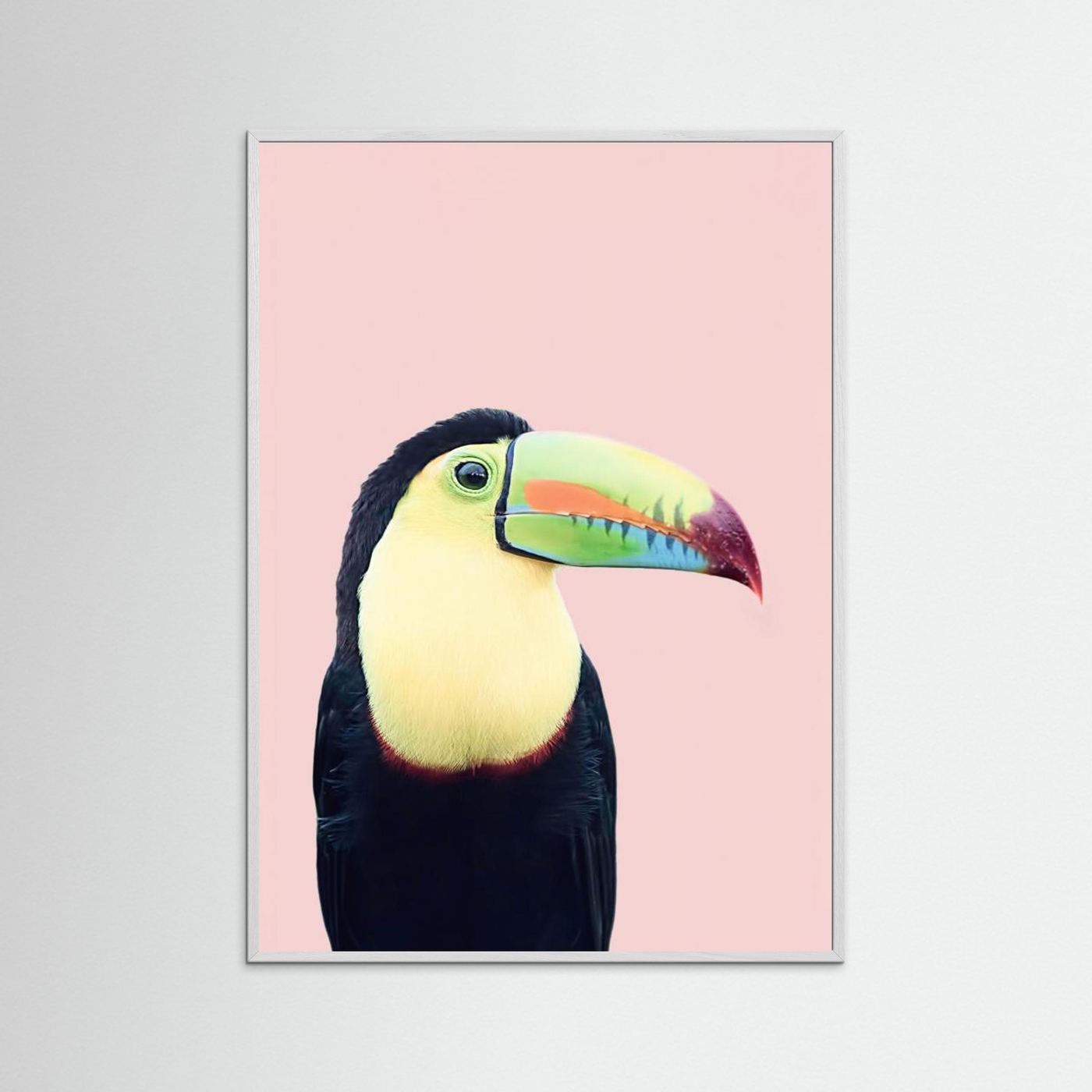Toucan on Pink by Kathrin Pienaar