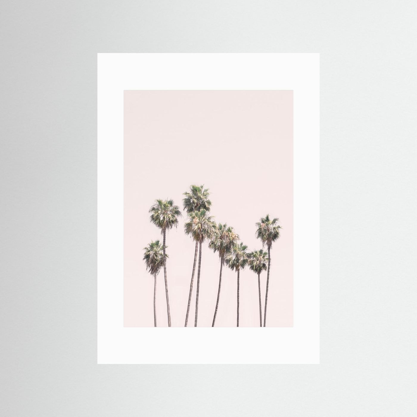 Blush Palms by Kathrin Pienaar
