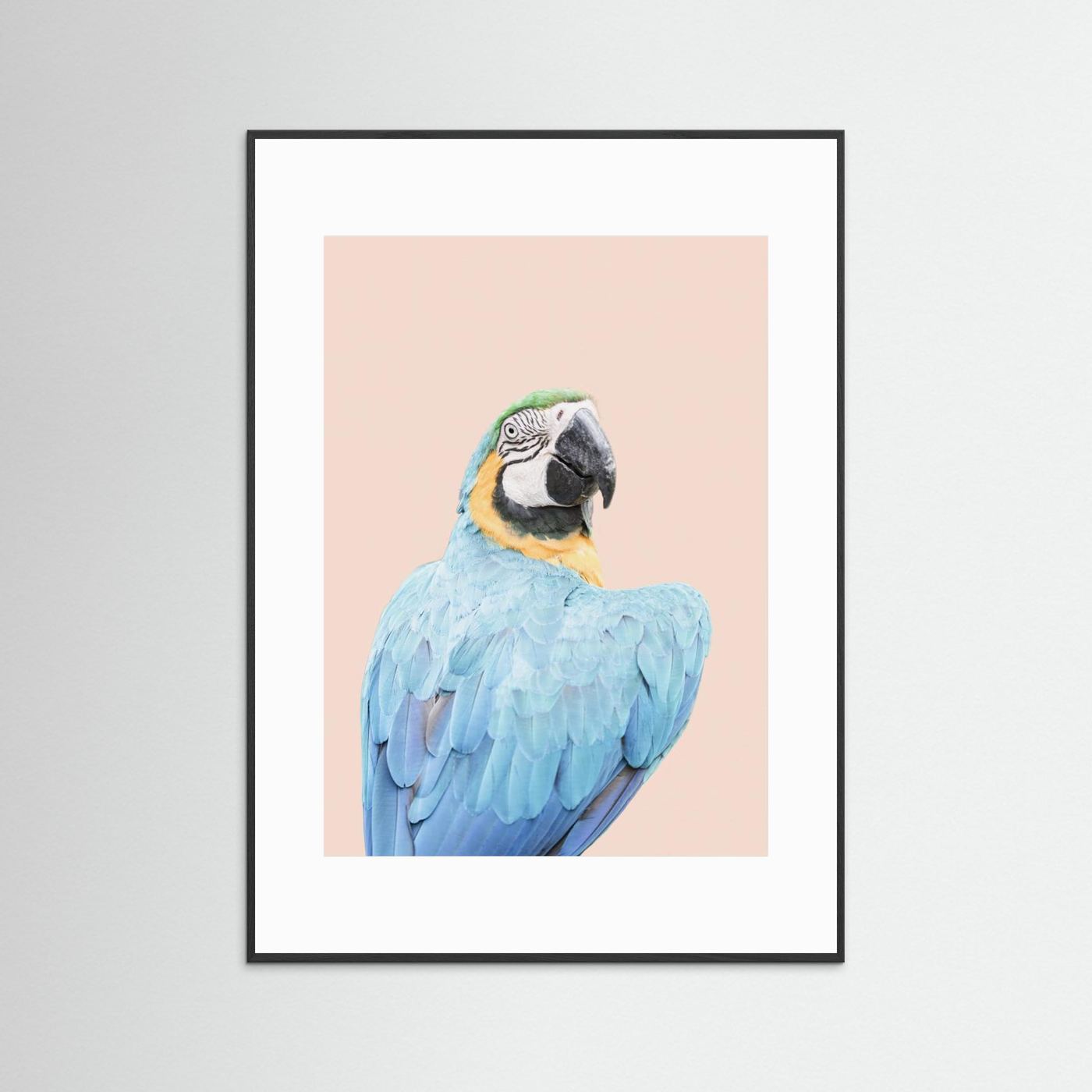 Blue Macaw by Kathrin Pienaar